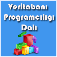 VERİTABANI ORGANİZASYONU 1. DÖNEM 2. YAZILI SORULARI