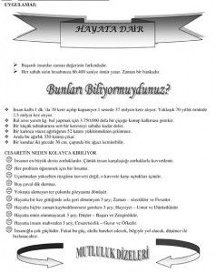 Microsoft Word - 02 Microsoft word.doc