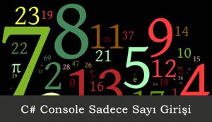 C# Console Sadece Sayi