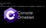 basamak_degerleri_toplami_console
