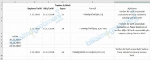 excel tamişgünü formülü