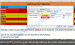 Koşullu Biçimlendirme ile Satırı Renklendirme