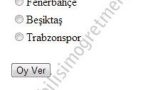 anket1