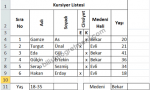 excel2