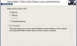 rp_ie-backup1231326905.jpg