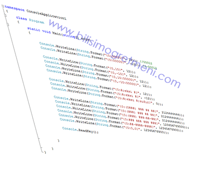 Visual Studio C# Dersleri – String.Format Fonksiyonu 1