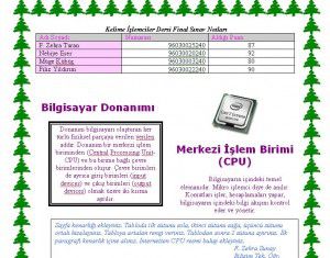 word_uygulama_ornekleri-1